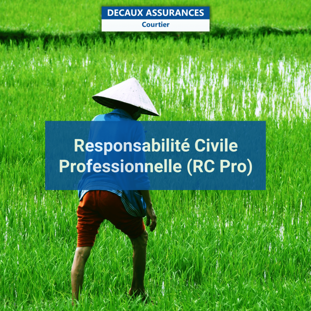 Assurances responsabilite civile professionnelle vietnam riziere
