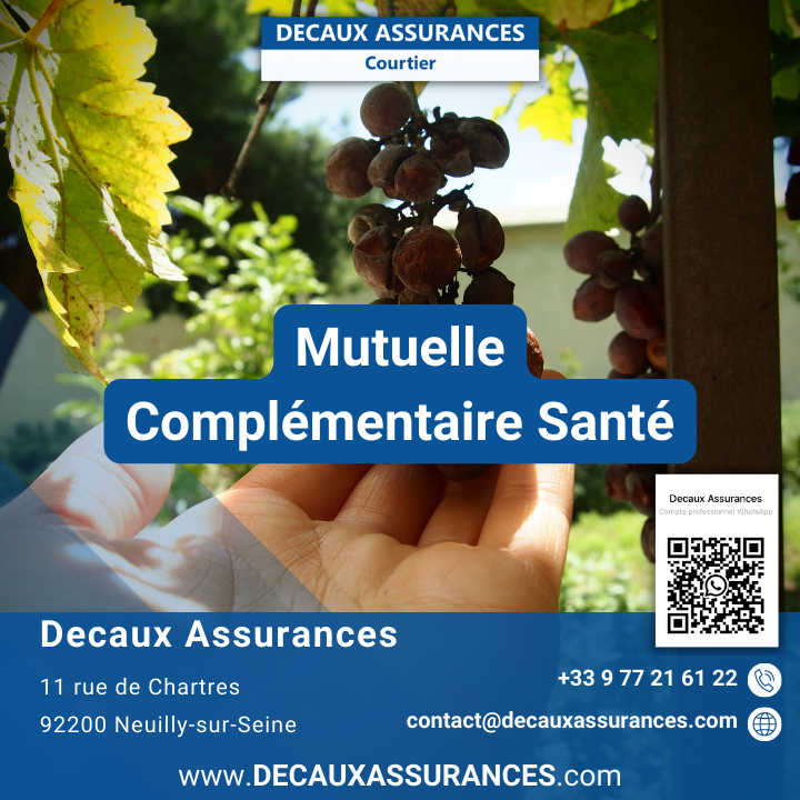 Decaux Assurances - Produit Google - Mutuelle ou Complémentaire Santé pour Particuliers - www.decauxassurances.com - Courtier Neuilly-sur-Seine
