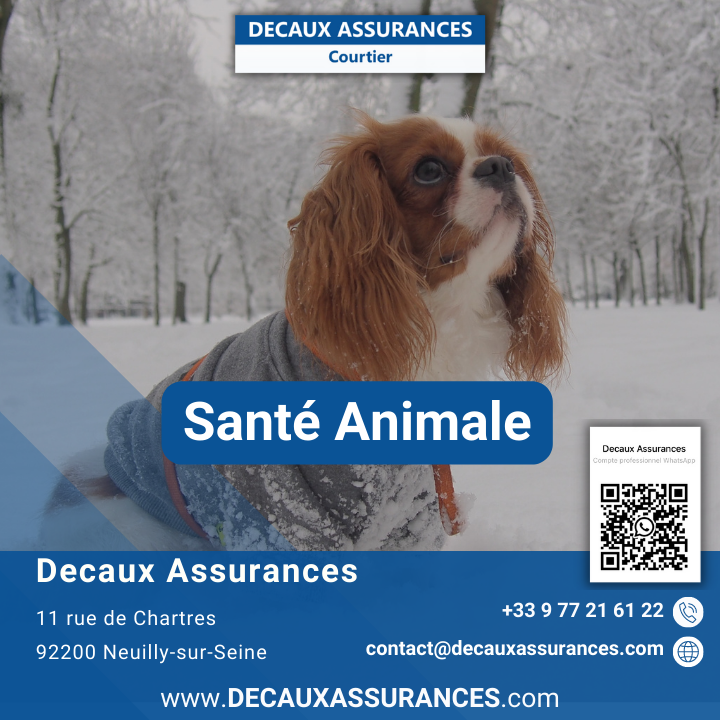 Decaux Assurances - Produit Google - Santé Animale - www.decauxassurances.com - Courtier Neuilly-sur-Seine