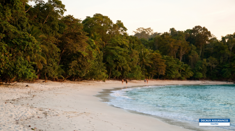 Plage bordée de forêt du parc national Manuel Antonio, Costa Rica
