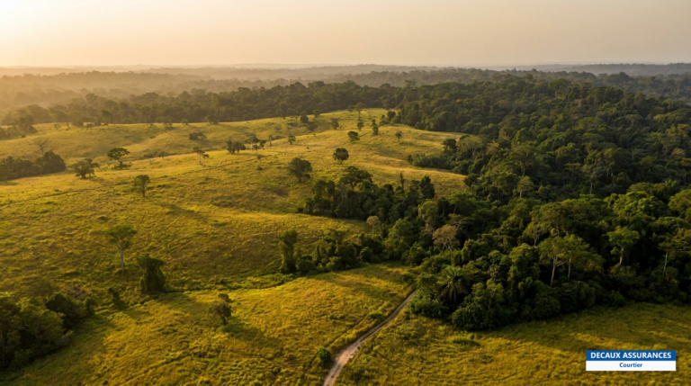Parc national de la Lopé, Gabon — mosaïque savane-forêt classée UNESCO
