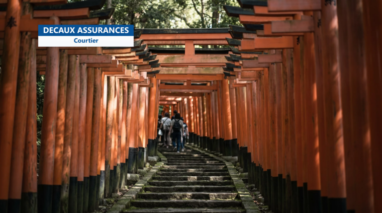 Tunnels de torii vermillon du sanctuaire Fushimi Inari à Kyoto, Japon