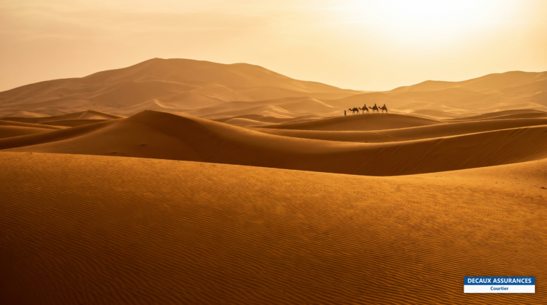 Dunes orangées de l'Erg Chebbi à Merzouga, désert du Sahara, Maroc