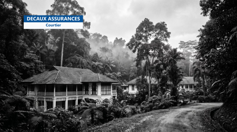 Maisons coloniales black and white dans la verdure de Bukit Timah, Singapour