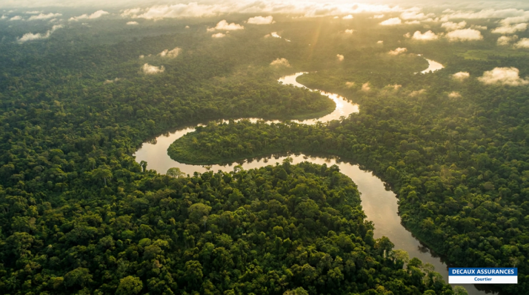 Forêt équatoriale du sud du Cameroun vue d'en haut — canopée à perte de vue