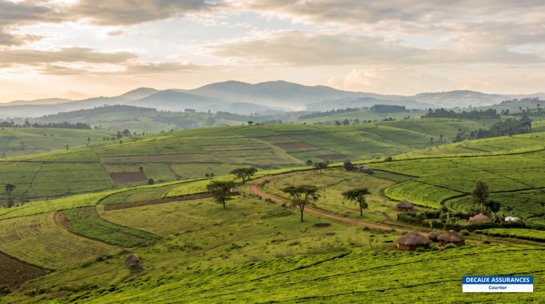 Eldoret, hautes terres de l'ouest du Kenya