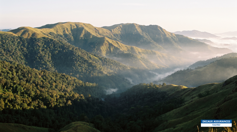 Réserve naturelle intégrale du mont Nimba, Guinée — massif forestier classé au patrimoine mondial de l'UNESCO